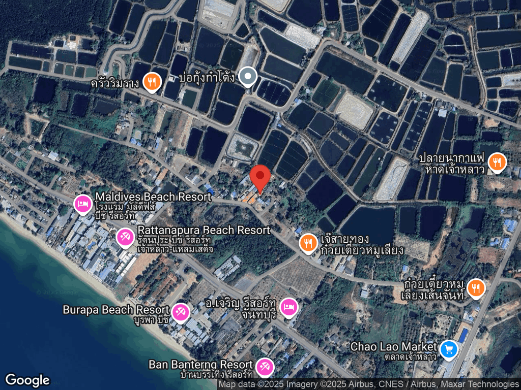 สถานที่หายของไข่เจียว