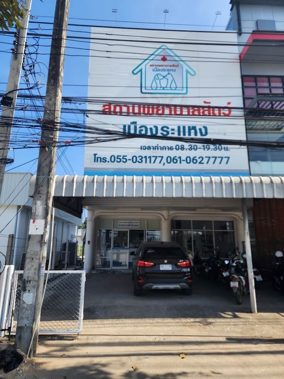 สถานพยาบาลสัตว์เมืองระแหง