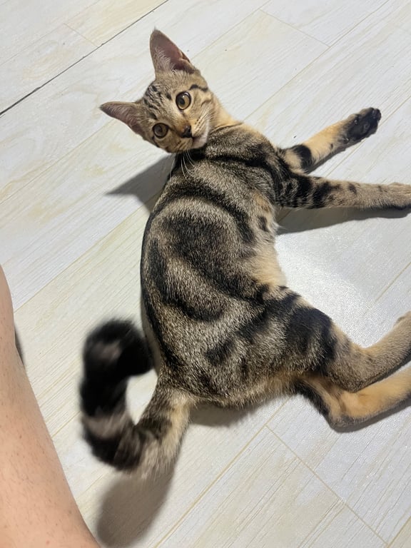 เจ้าสัว
