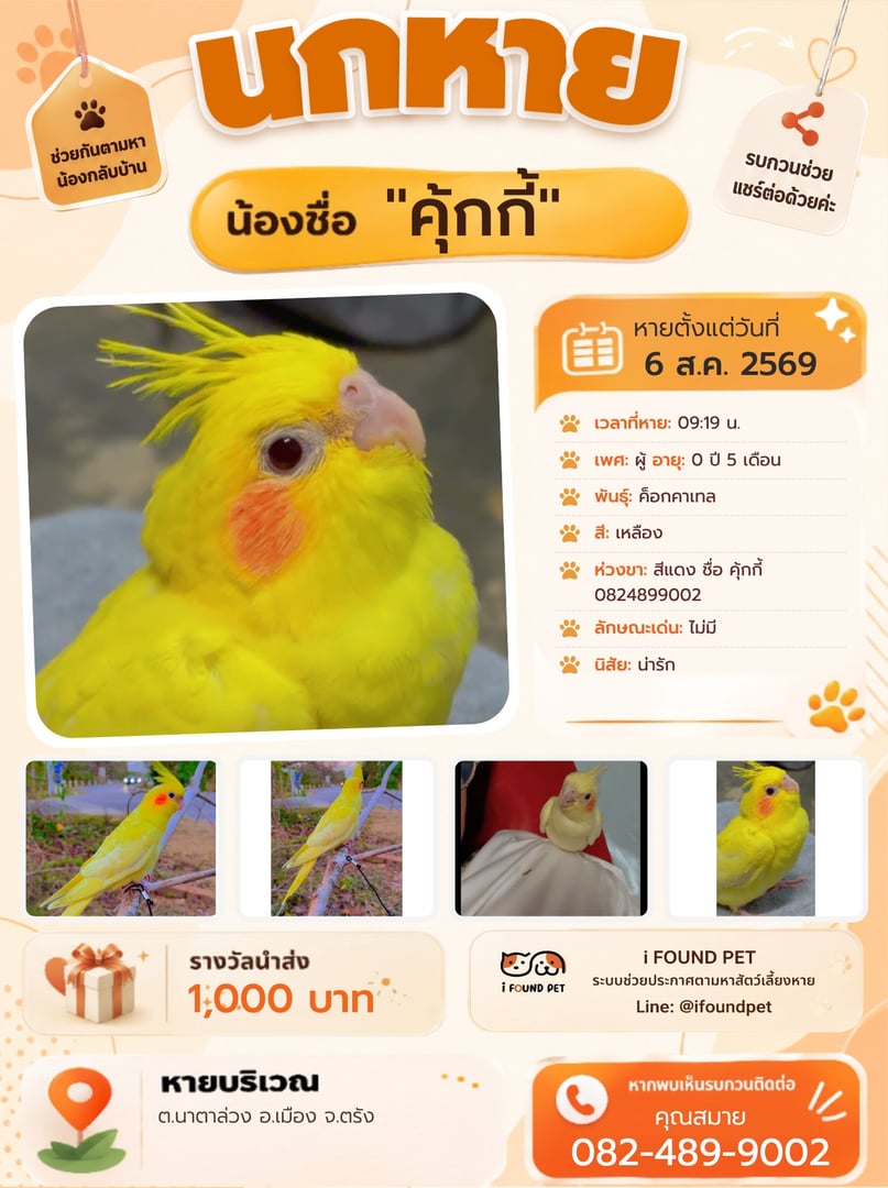 คุ้กกี้