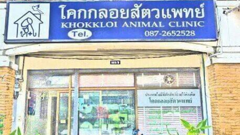 โคกกลอยสัตวแพทย์