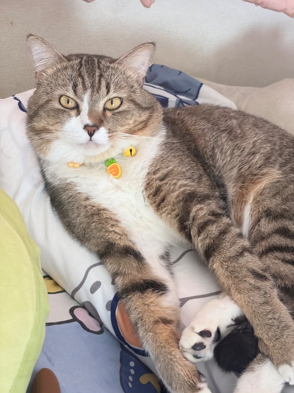 ตังค์