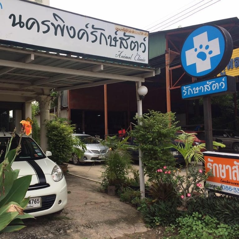 นครพิงค์รักษ์สัตว์ Nakornping animal clinic