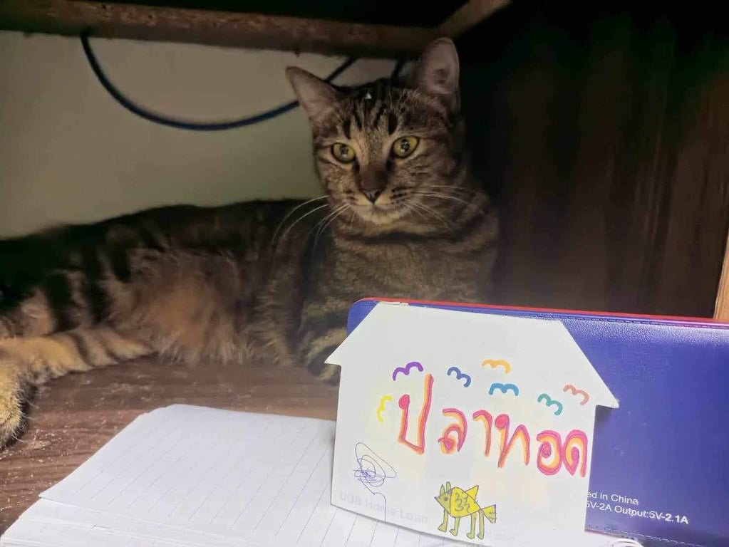 ปลาทอด