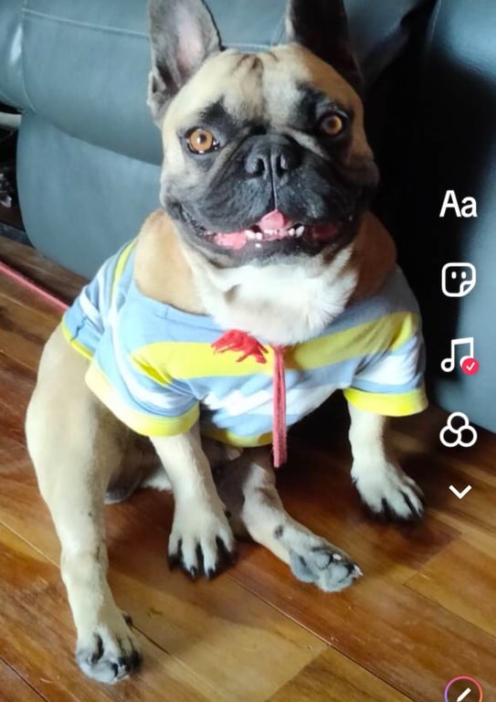 ทองดี