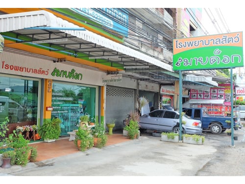 โรงพยาบาลสัตว์สมายด็อก -SMILE DOG VET