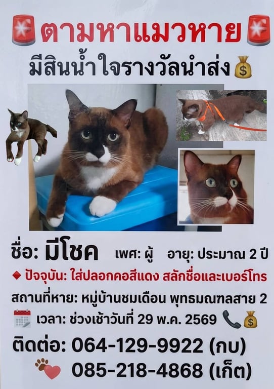 มีโชค