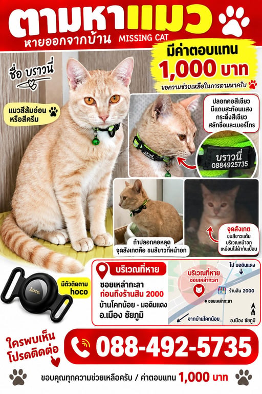 บราวนี่