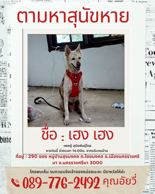 เฮงเฮง