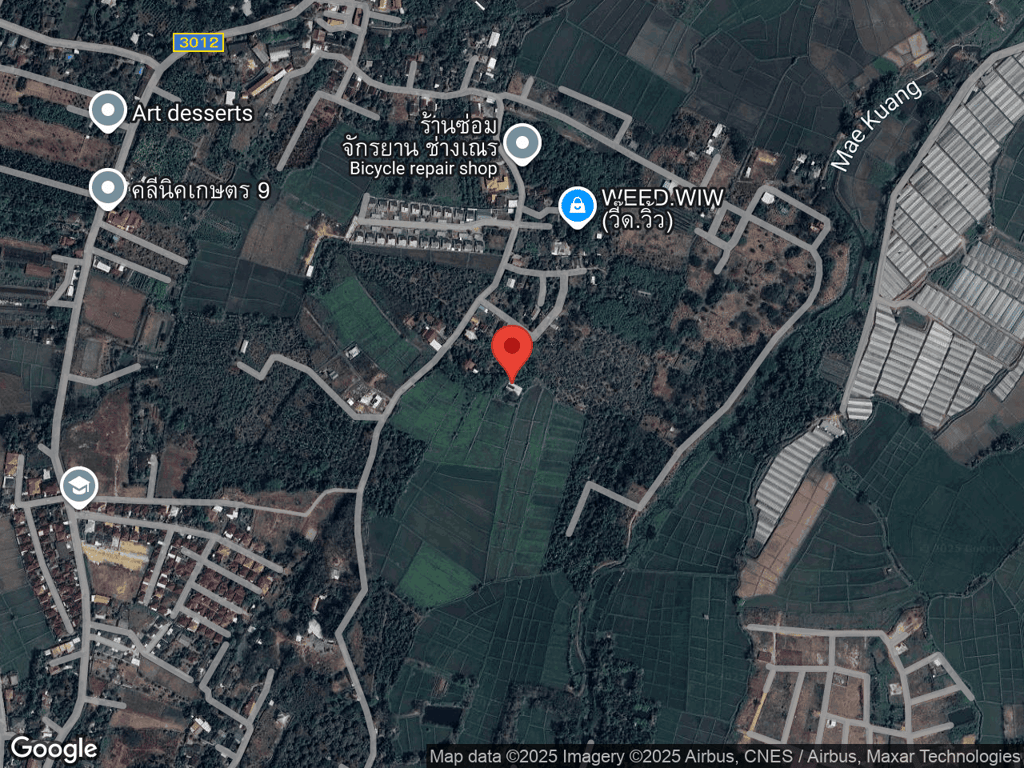 สถานที่หายของอูนิ