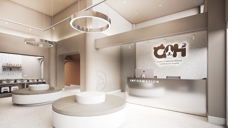 โรงพยาบาลสัตว์แคปปิตอล เปิด 24 ชั่วโมง ( Capital animal hospital )