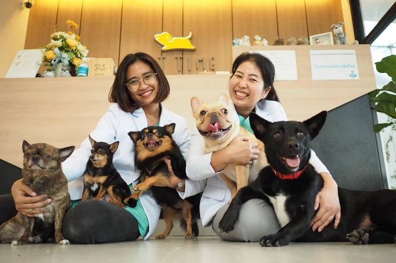 โรงพยาบาลสัตว์เพ็ทไทม์ Pet Time Animal Hospital and Dog Hotel