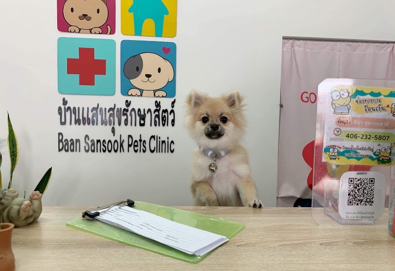 บ้านแสนสุข รักษาสัตว์