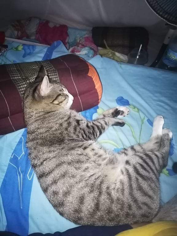 แสนแสบ