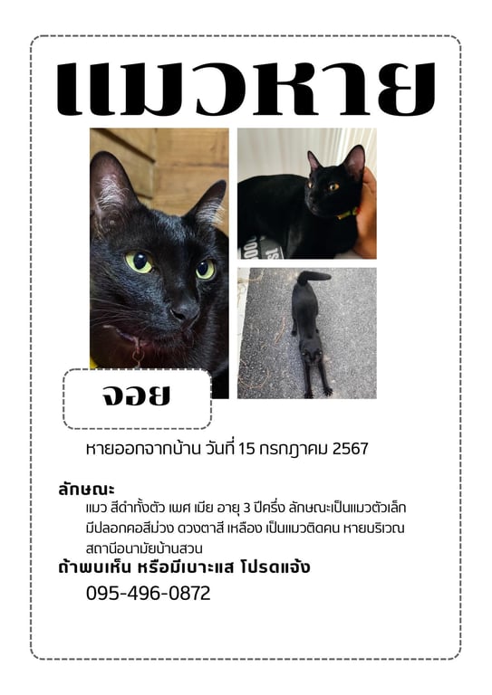 จอย