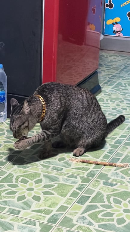 บุญรอด