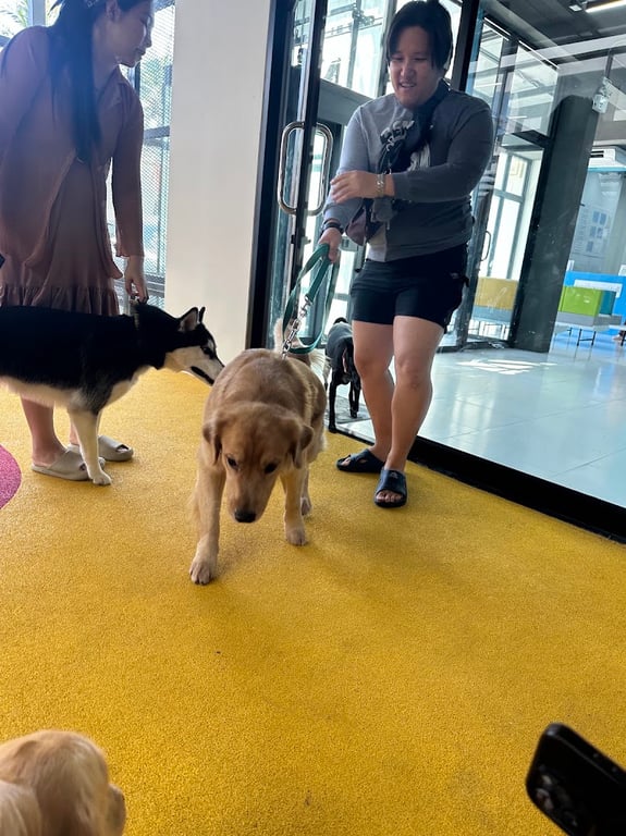 โรงพยาบาลสัตว์พอเพลิน สาขางามวงศ์วาน PawPlearn Animal Hospital
