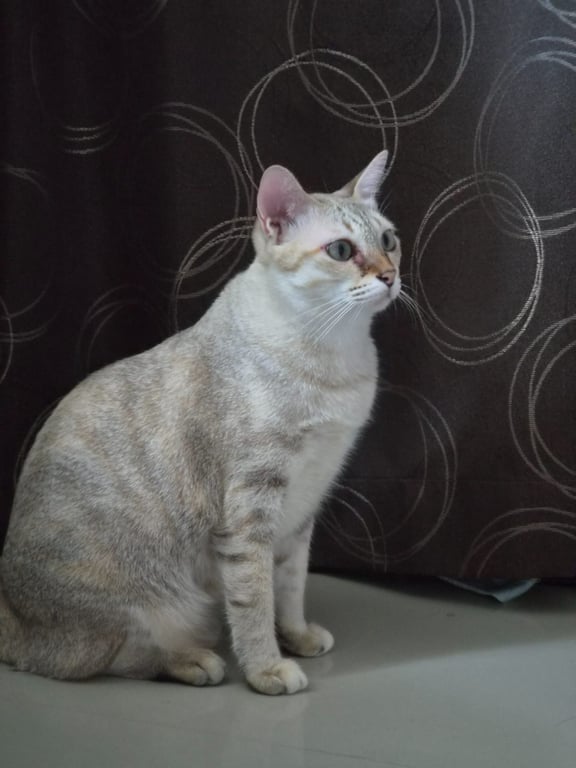 คุณนาย