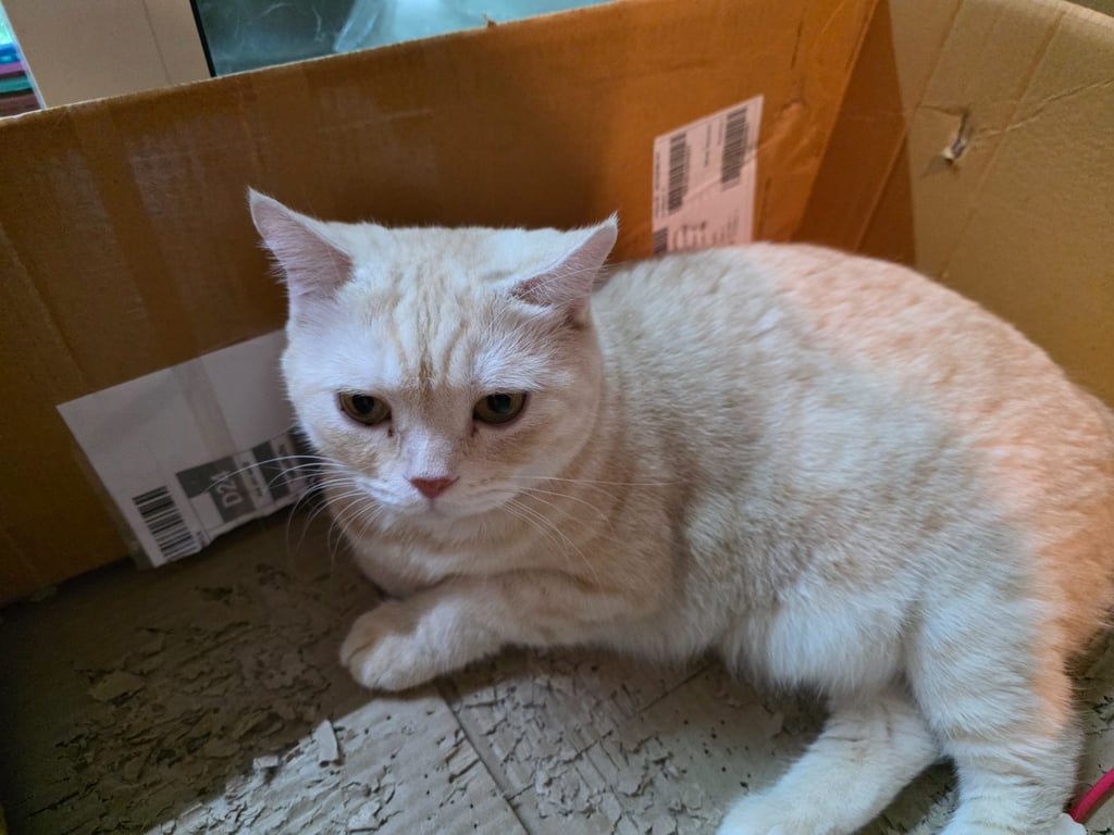 เทนเทน