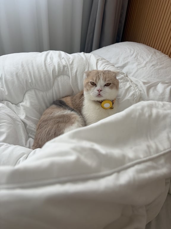 มีตัวค์