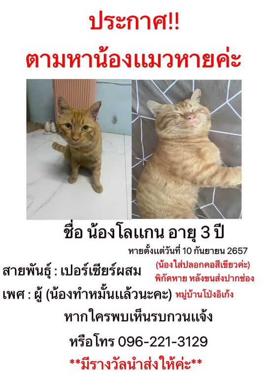 โลเเกน