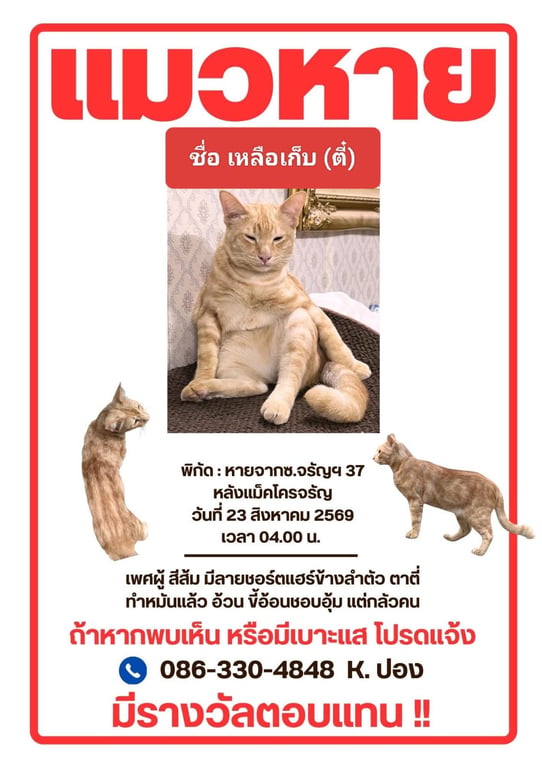 เหลือเก็บ (ตี๋)