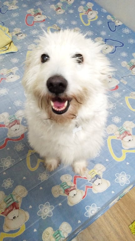น่าน