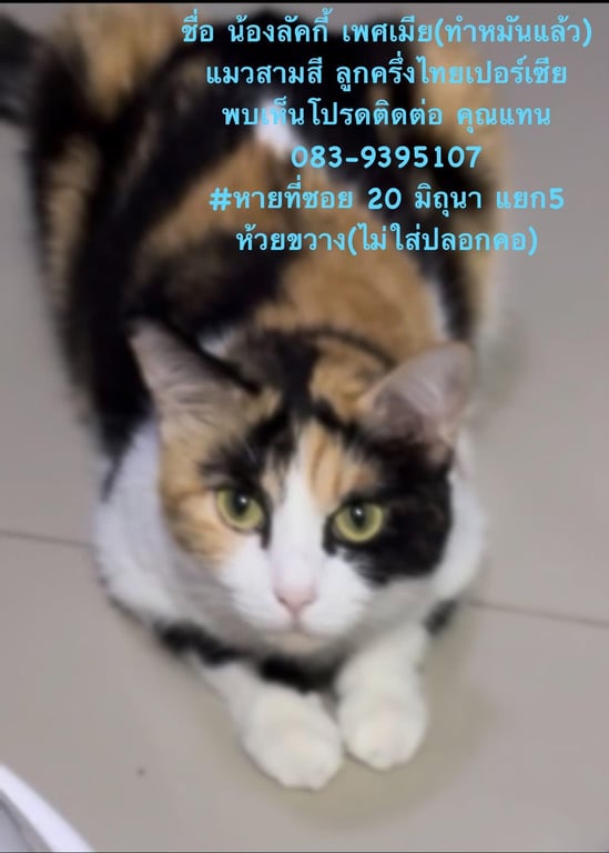 ลัคกี้