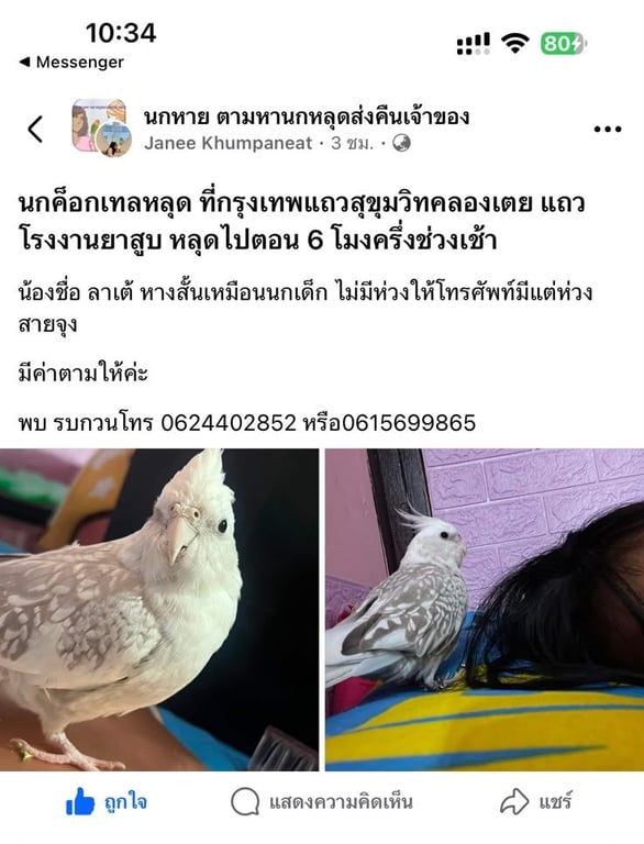 ลาเต้