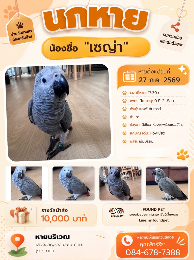 เซญ่า