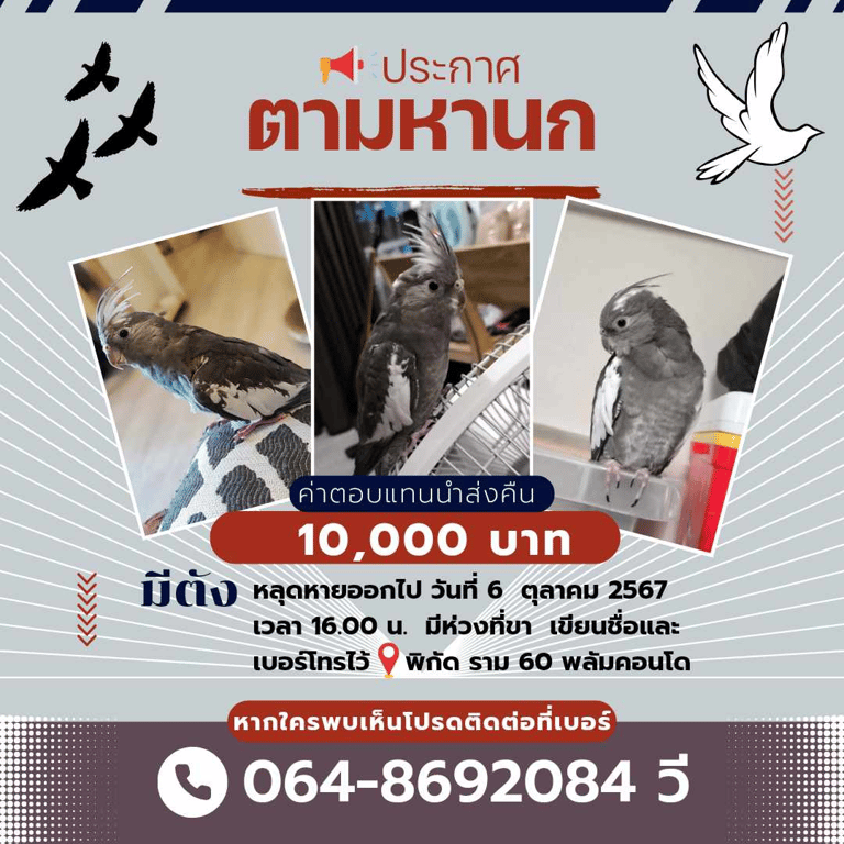 มีตัง