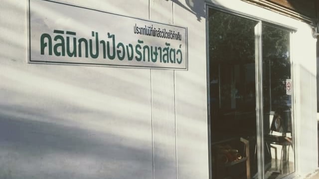 Papong Vet Clinic คลินิกป่าป้องรักษาสัตว์