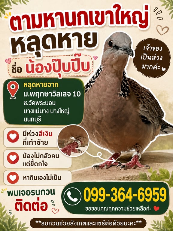 ปุ๊บปิ๊บ