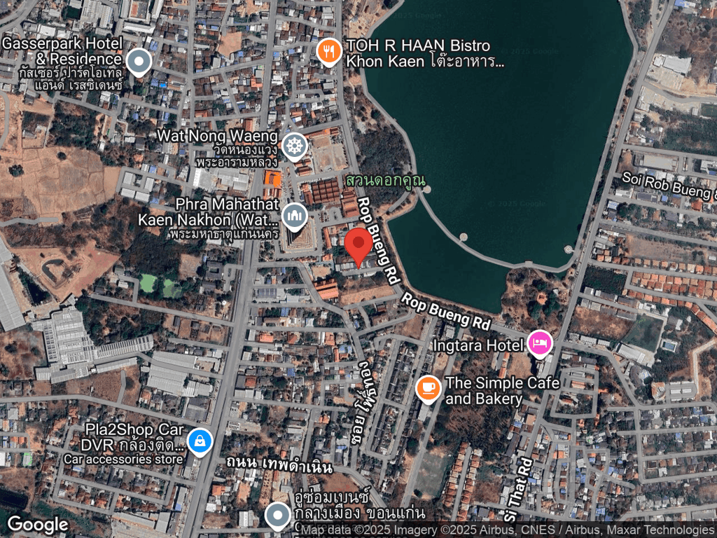 สถานที่หายของกีวี่