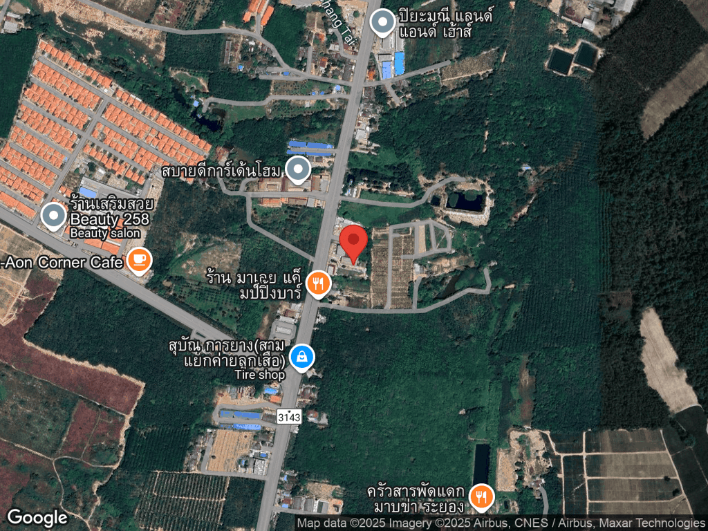 สถานที่หายของน้องหมี