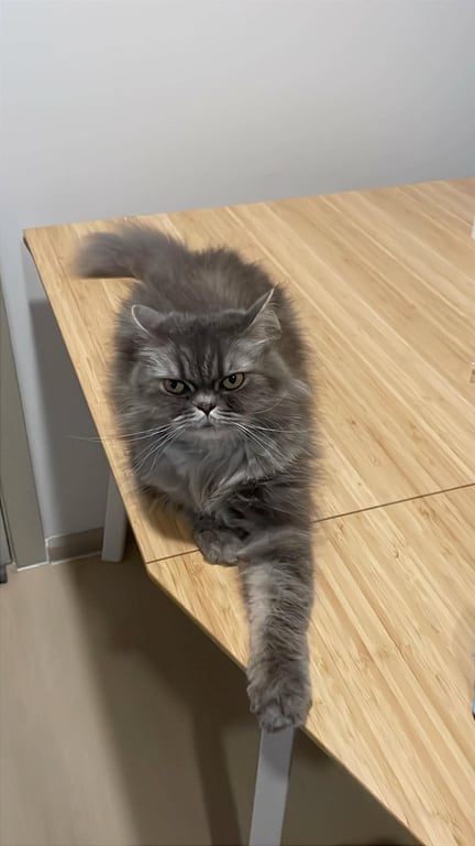 มินนี่