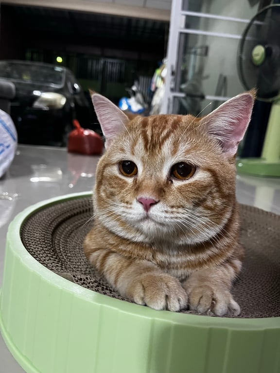 นับเงิน