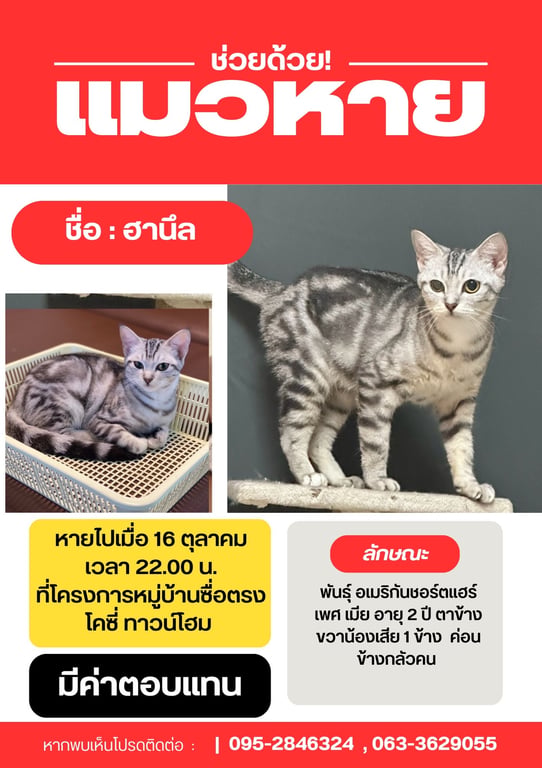 ฮานึล