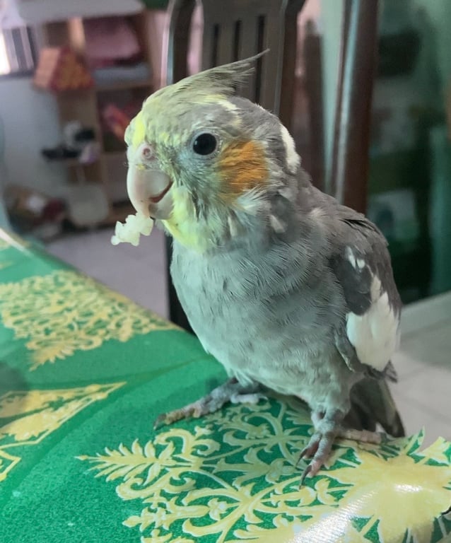 มีตังค์
