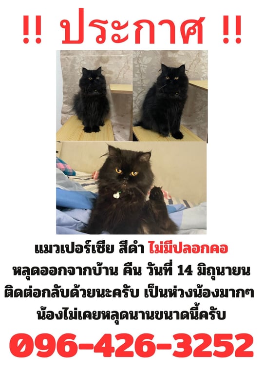 เขี้ยวกุด