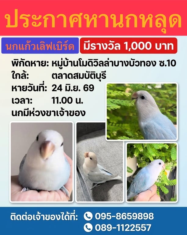 เอวา