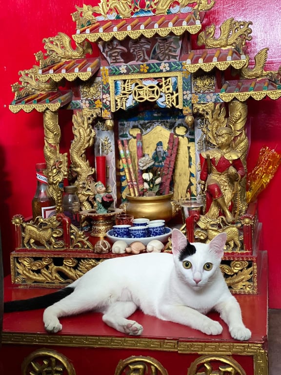 น้องมีสุข