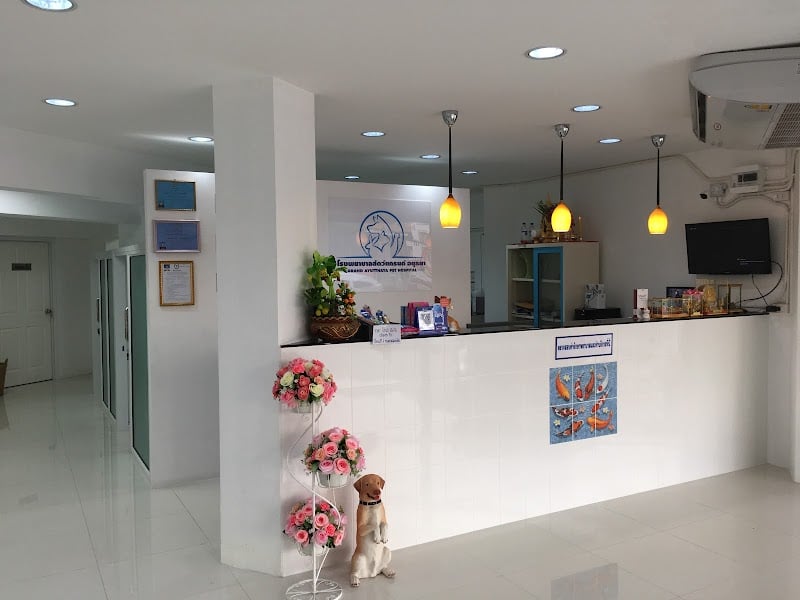 โรงพยาบาลสัตว์แกรนด์ อยุธยา