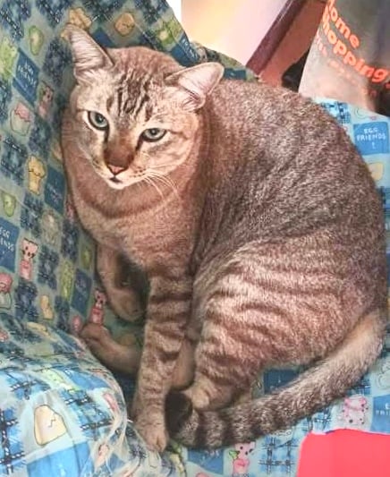 น้องพลอย