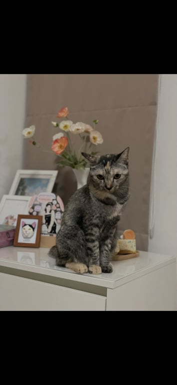 มันนี่