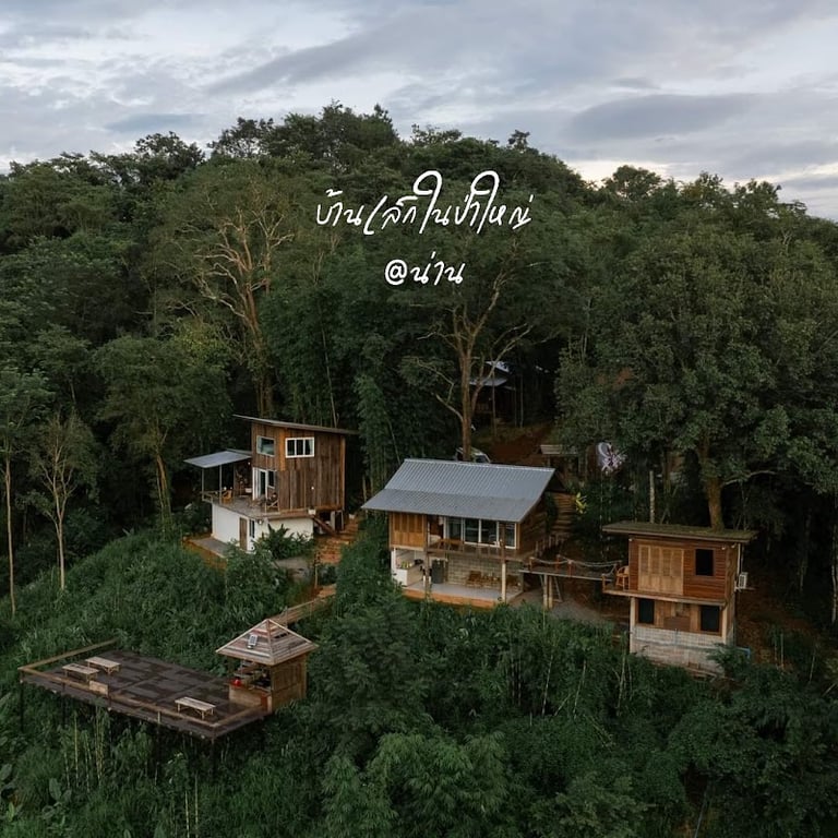 บ้านเล็กในป่าใหญ่ at น่าน
