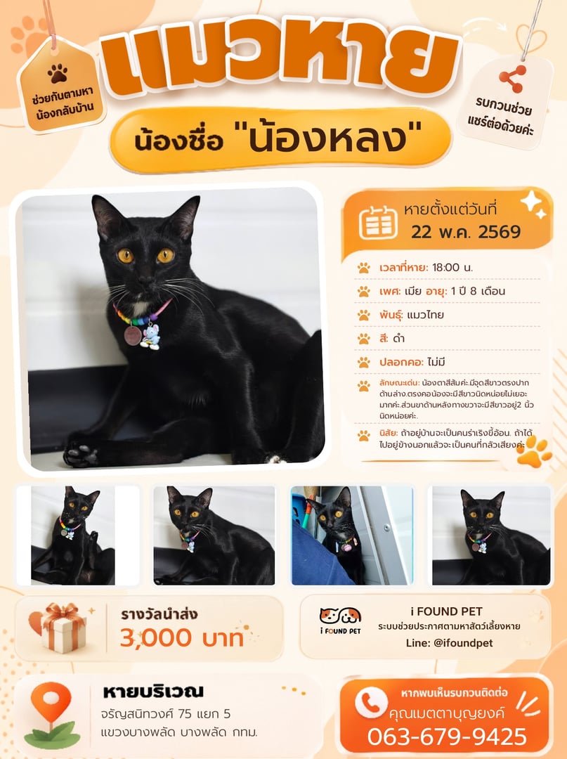 น้องหลง