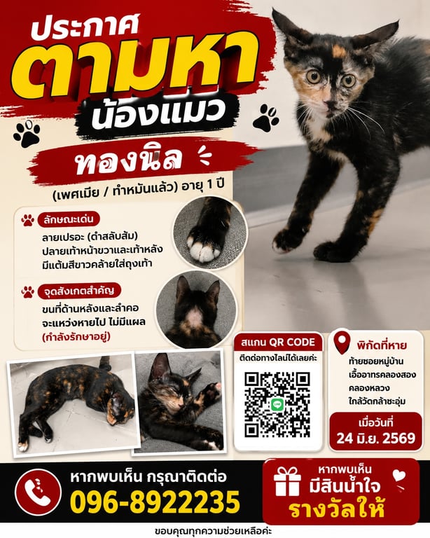 ทองนิล