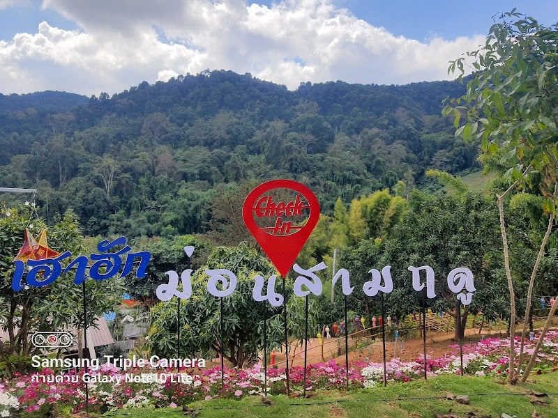 Nuengrhuethai Pet Hospital