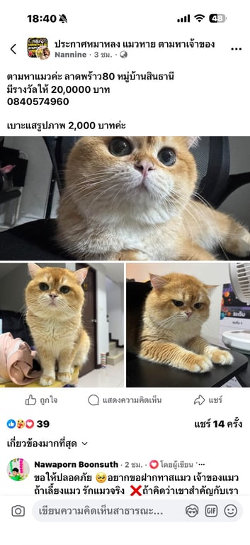 มีไลค์